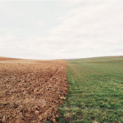 Agriculture Farming